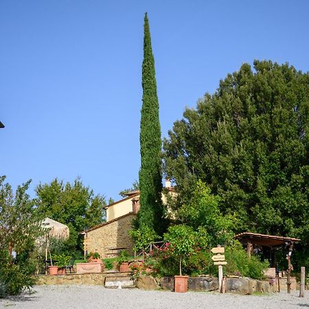 Agriturismo Borgo Sant'Ercolano Ciggiano ภายนอก รูปภาพ