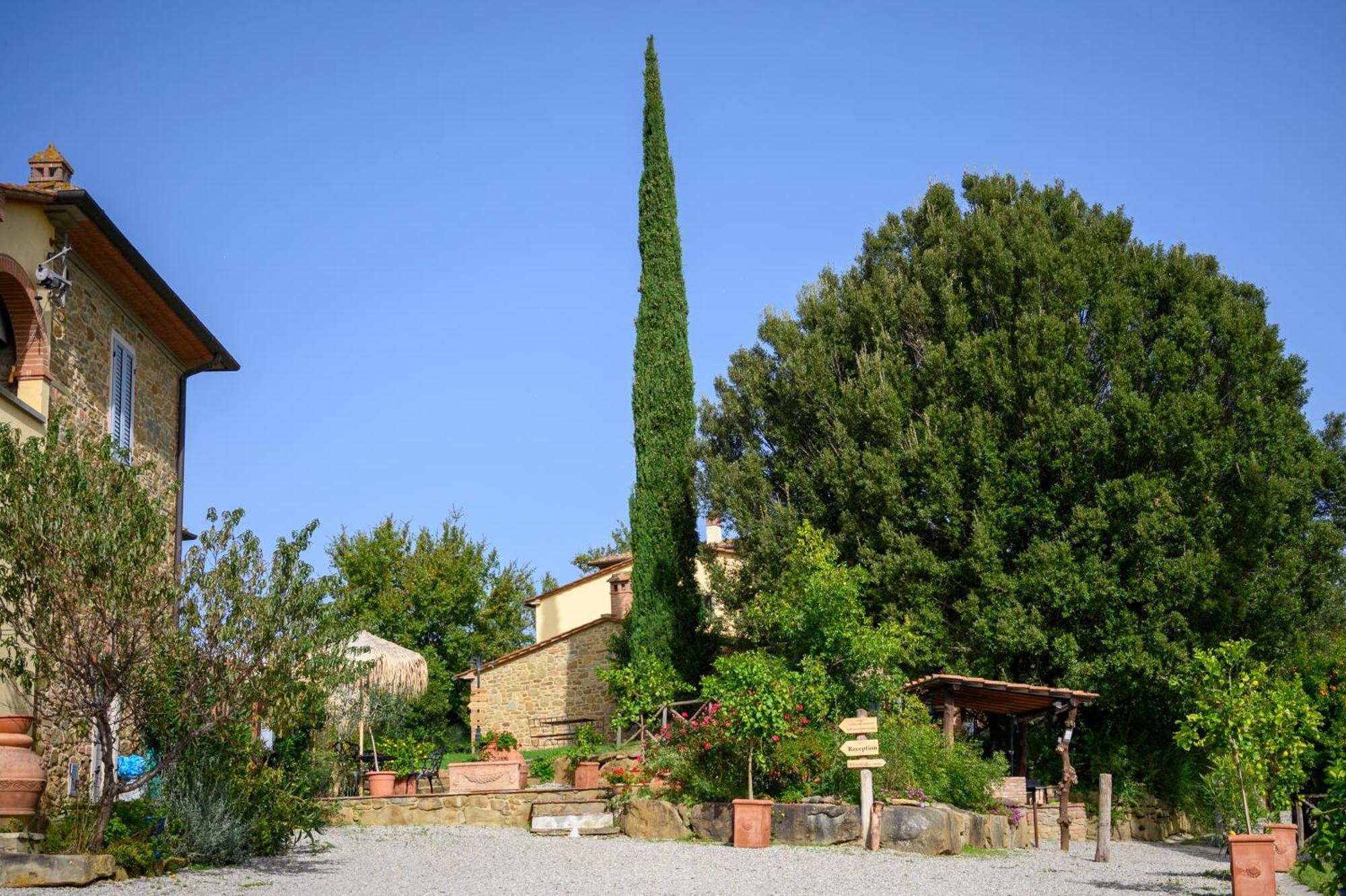 Agriturismo Borgo Sant'Ercolano Ciggiano ภายนอก รูปภาพ