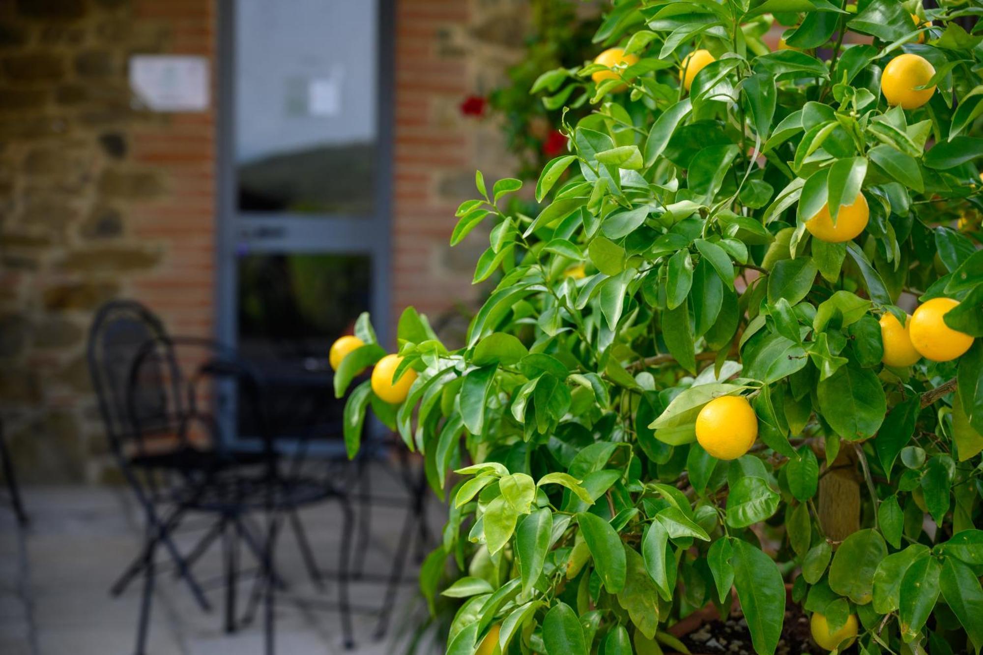 Agriturismo Borgo Sant'Ercolano Ciggiano ภายนอก รูปภาพ